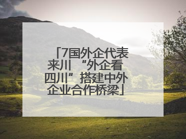 7国外企代表来川 “外企看四川”搭建中外企业合作桥梁