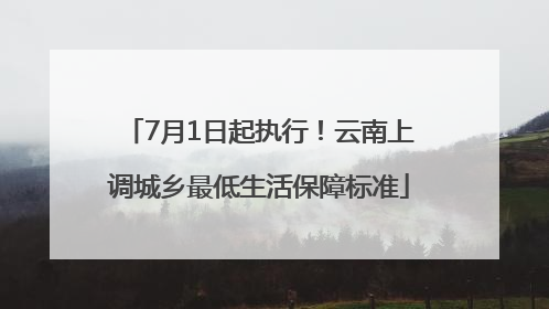 7月1日起执行！云南上调城乡最低生活保障标准