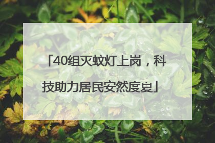 40组灭蚊灯上岗，科技助力居民安然度夏