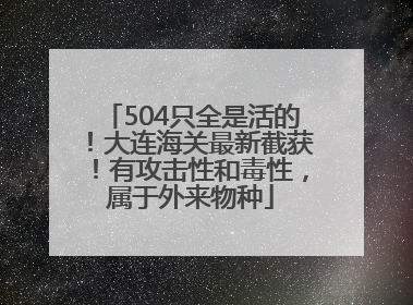 504只全是活的！大连海关最新截获！有攻击性和毒性，属于外来物种