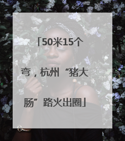 50米15个弯，杭州“猪大肠”路火出圈