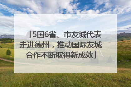 5国6省、市友城代表走进德州，推动国际友城合作不断取得新成效