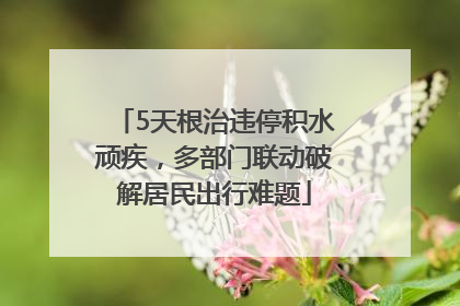 5天根治违停积水顽疾，多部门联动破解居民出行难题