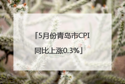 5月份青岛市CPI同比上涨0.3%