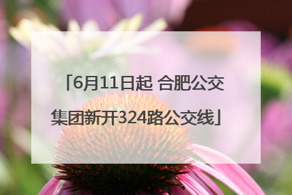 6月11日起 合肥公交集团新开324路公交线