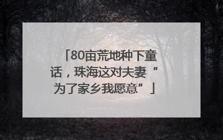 80亩荒地种下童话，珠海这对夫妻“为了家乡我愿意”