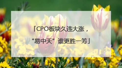 CPO板块久违大涨，“易中天”谁更胜一筹