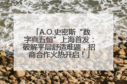 A.O.史密斯“数字真五恒”上海首发：破解平层舒适难题，招商合作火热开启！