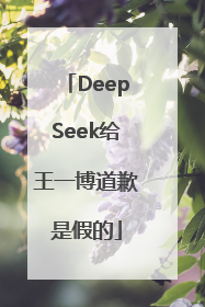 DeepSeek给王一博道歉是假的