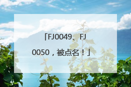 FJ0049、FJ0050，被点名！